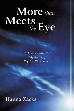 Cover of the book More Than Meets the Eye by Ryan R. F. Wilkinson