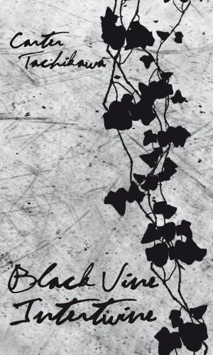 Cover of the book Black Vine Intertwine by Henrik Sandvad Rasmussen