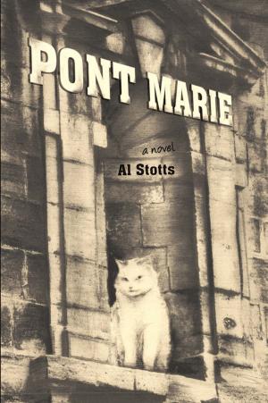 Book cover of Pont Marie