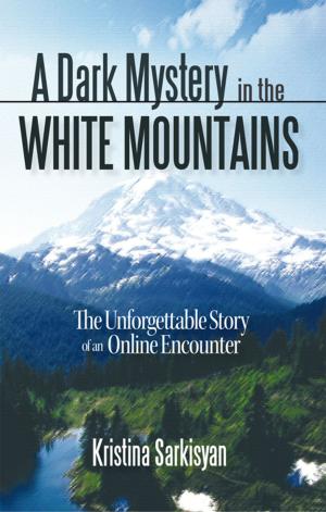 Cover of the book A Dark Mystery in the White Mountains by C. J. Klug