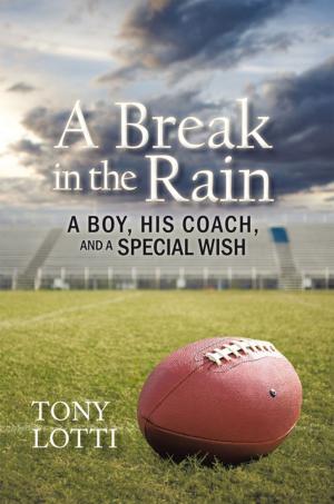 Cover of the book A Break in the Rain by Cynthia Ousley-Garey