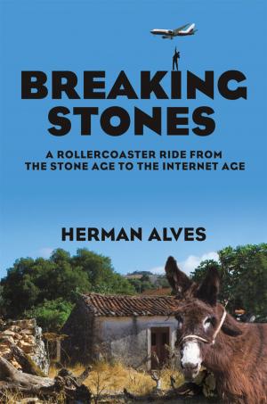Cover of the book Breaking Stones by Karen Valiant