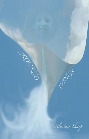 Cover of the book Crooked Wings by Harry J. Sweeney