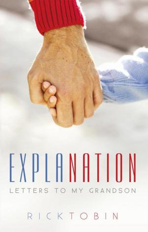 Cover of the book ExplaNation by Deborah Liggan