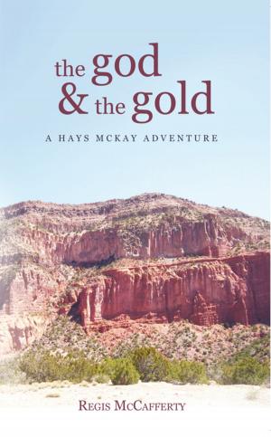 Cover of the book The God and the Gold by James Turnage