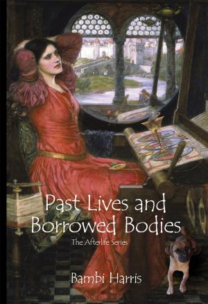 Book cover of Past Lives and Borrowed Bodies
