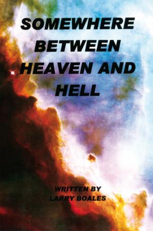 Cover of the book Somewhere Between Heaven and Hell by Stephanie Plain Potter