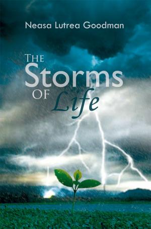 Cover of the book The Storms of Life by M.M. Rumberg