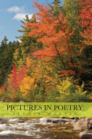 Cover of the book Pictures in Poetry by J. Bregazzi
