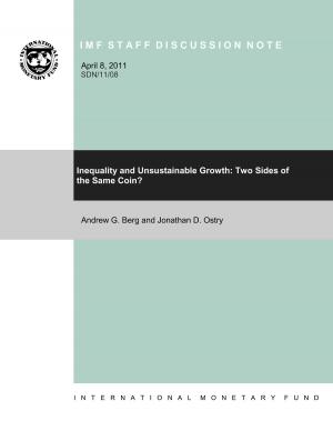Cover of the book Inequality and Unsustainable Growth: Two Sides of the Same Coin? by Amadou Mr. Sy, Peter Mr. Kunzel, Paul Mr. Mills, Andreas Jobst