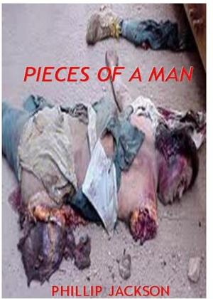 Book cover of Pieces Of A Man