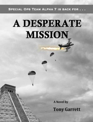 Cover of the book A Desperate Mission by Mehrisa Mex