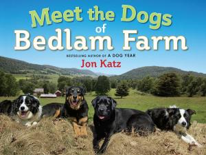 Cover of the book Meet the Dogs of Bedlam Farm by Sally Gardner