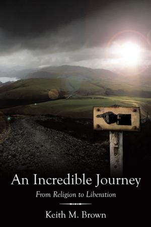 Cover of the book An Incredible Journey by Veronique Dupree Chastain