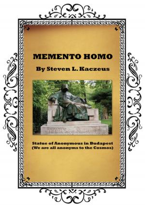 Cover of the book Memento Homo by Robert Noyola