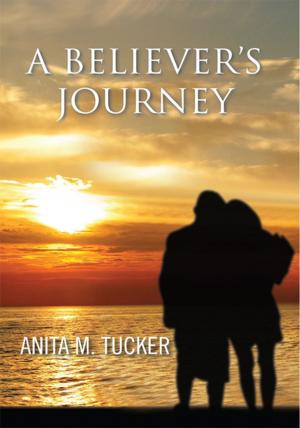 Cover of the book A Believer's Journey by Anton Winsor Lignell