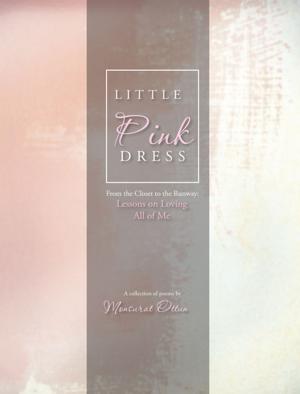 Cover of the book Little Pink Dress by Adam Ridgeway