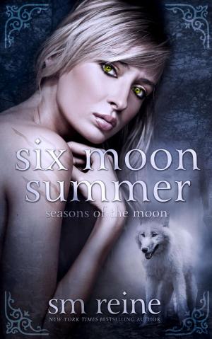 Cover of the book Six Moon Summer by Padmakumar Muthuswamy