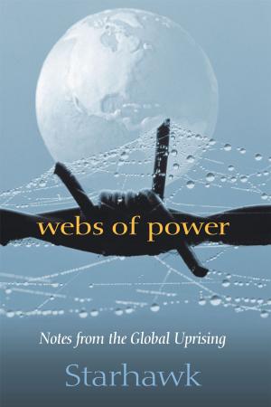 Cover of the book Webs of Power by Meredith Leigh