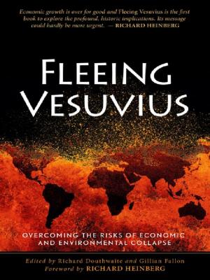 Cover of Fleeing Vesuvius