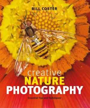 bigCover of the book Creative Nature Photography by 