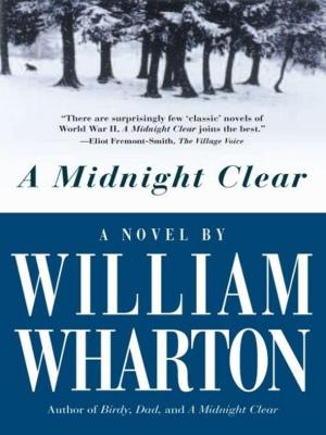 Cover of the book A Midnight Clear by Peggy Vaughan