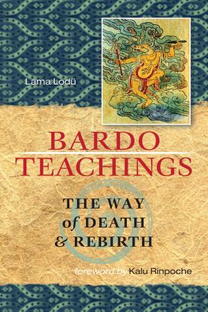 Cover of the book Bardo Teachings by Urs App