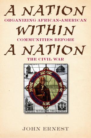 Cover of the book A Nation Within a Nation by Robert Shogan
