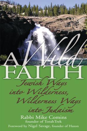 Book cover of A Wild Faith