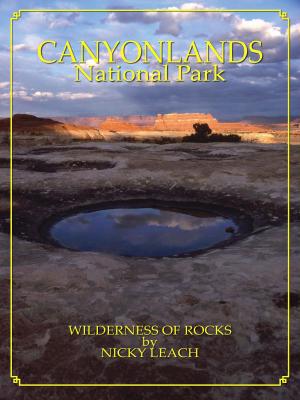 Book cover of Canyonlands: Wilderness of Rocks