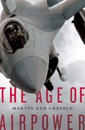 Cover of the book The Age of Airpower by Christian Wolmar