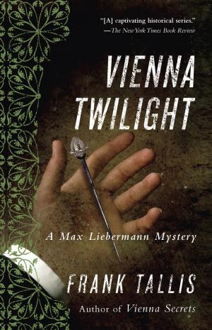 Cover of the book Vienna Twilight by Steve Coffel