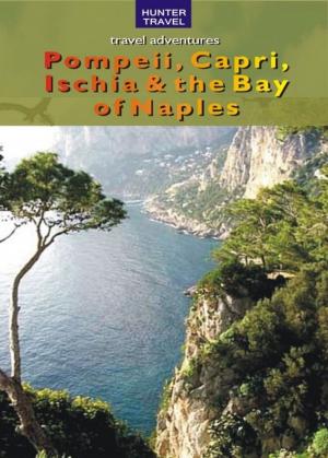 Cover of the book Pompeii, Capri, Ischia & the Bay of Naples by Paris Permenter, John Bigley