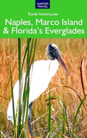 Book cover of Naples, Marco Island & Florida's Everglades