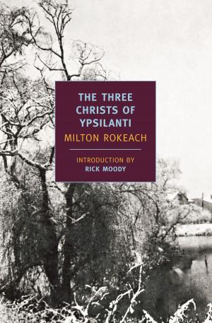 Cover of the book The Three Christs of Ypsilanti by Walter Kempowski
