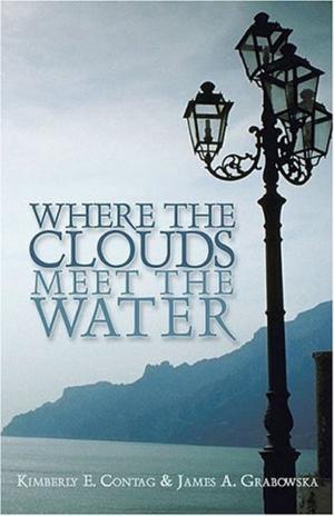 bigCover of the book Where the Clouds Meet the Water by 