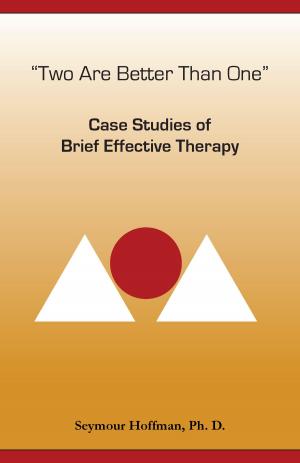 Cover of the book Two Are Better Than One: Case Studies of Brief Effective Therapy by Seymour Hoffman