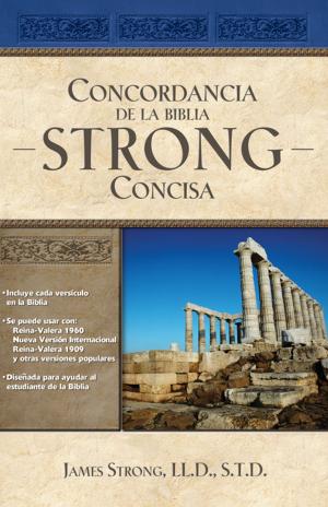 Book cover of Concordancia de la Biblia Strong Concisa