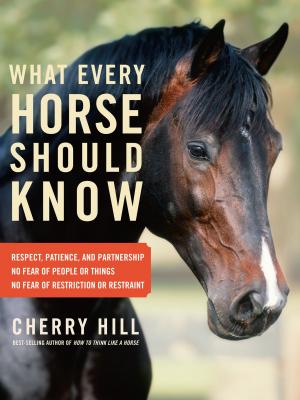 Cover of the book What Every Horse Should Know by Ricki Carroll, Phyllis Hobson
