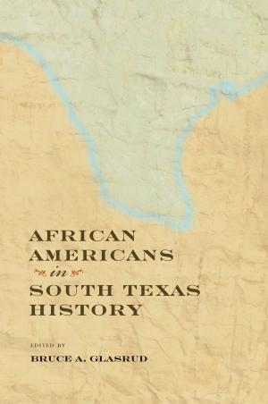 Cover of the book African Americans in South Texas History by Daniel O. Killman, Rebecca Huycke Ellison, David Hull
