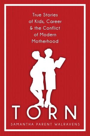 Book cover of Torn: True Stories of Kids, Career & the Conflict of Modern Motherhood