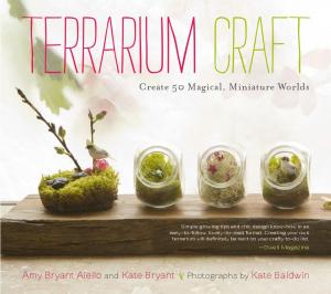 Cover of the book Terrarium Craft by Mary Ann Newcomer