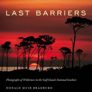 bigCover of the book Last Barriers by 