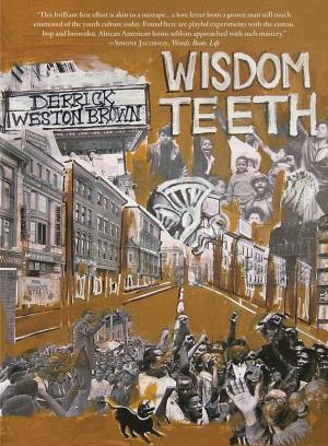Book cover of Wisdom Teeth