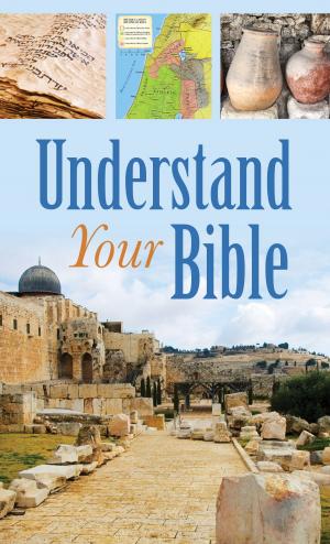 Cover of the book Understand Your Bible by Darlene Mindrup