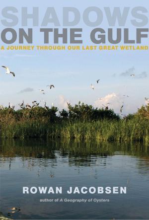 Book cover of Shadows on the Gulf