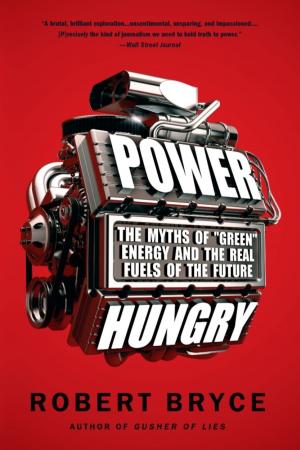 Cover of the book Power Hungry by Morgan Simon