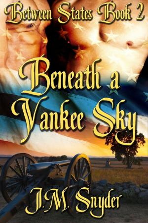 Cover of the book Beneath a Yankee Sky by J.M. Snyder