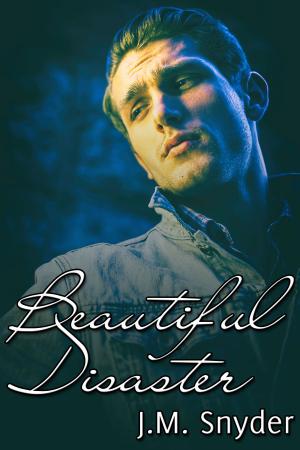 Cover of the book Beautiful Disaster by J.M. Snyder