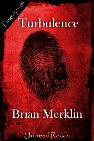 Cover of the book Turbulence by Eric Arvin